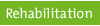 Rehabilitation